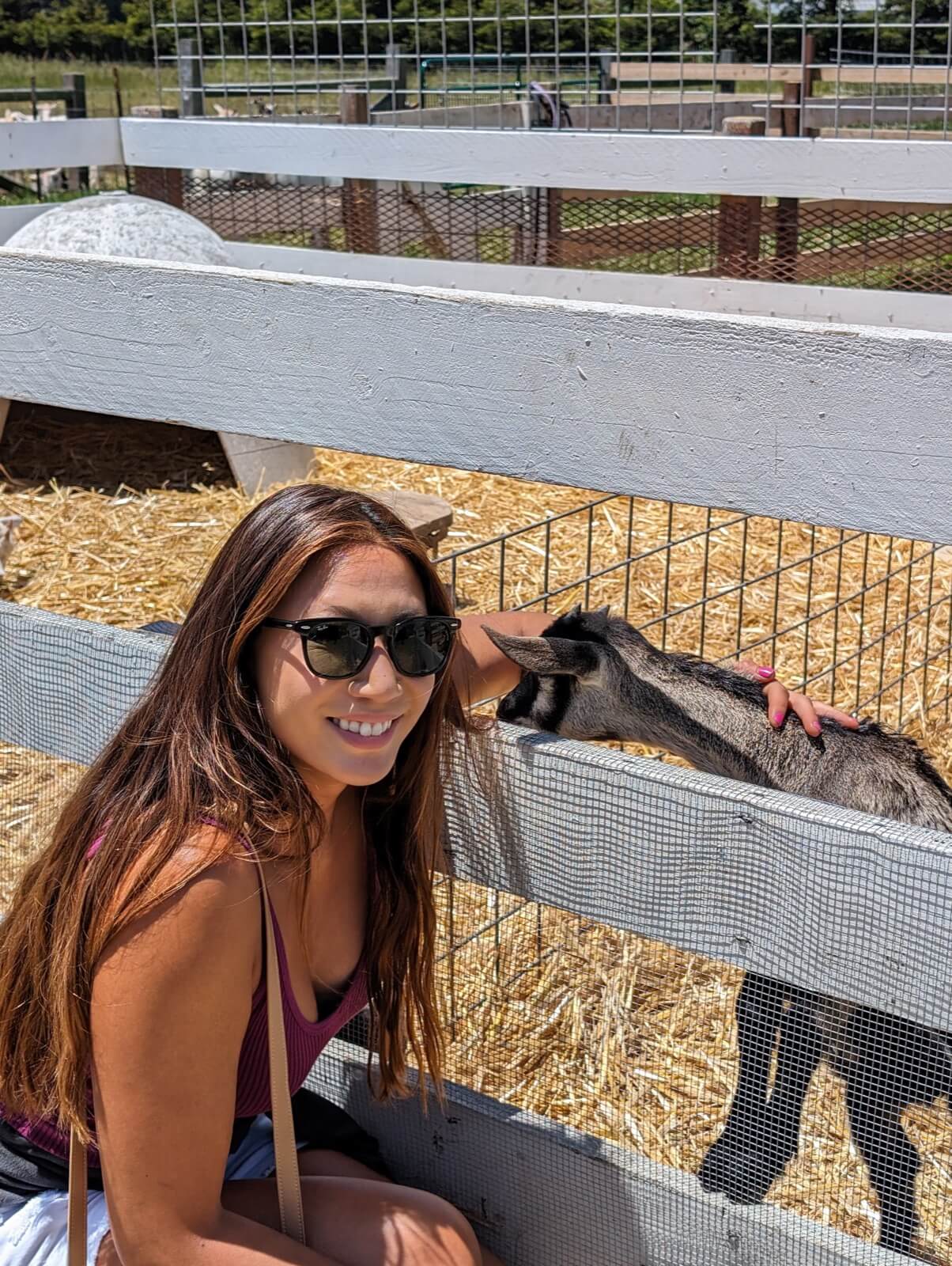 animals who love you